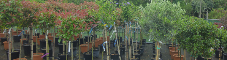 Medewerkers boomkwekerij De Batouwe blij met bijscholing